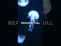 This Jellyfish Lives FOREVER? Wait, That's Real #Shorts