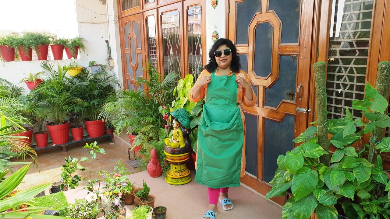 My Garden Shopping My Summer Garden Shopping Fun Gardening YouTube