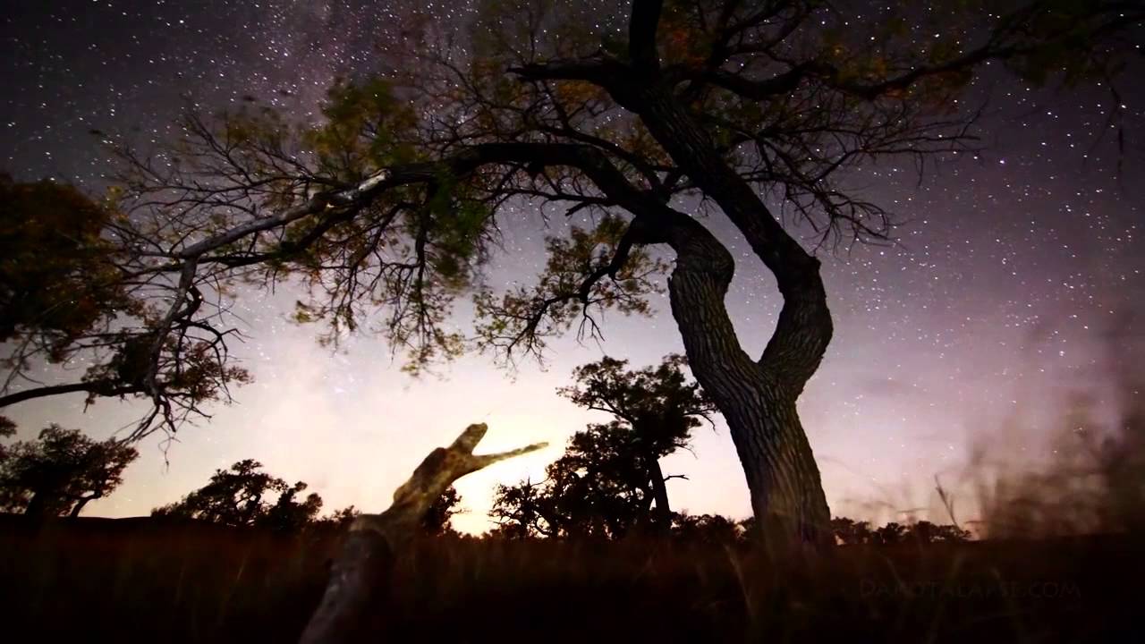 Electronic Emotions - Asura Tribute Mix