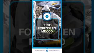 La crisis forense en México crece ante la falta de especialistas y recursos | Reporte Indigo