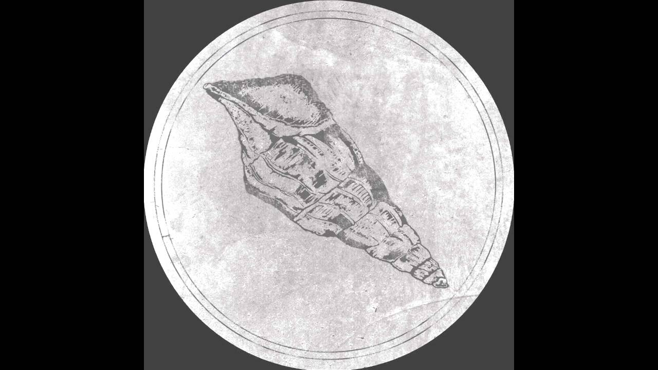 Roberto - Velatus [Fossil Archive 004]