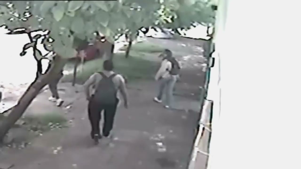 feroz ataque dogo a un perro vecino y dueño de este