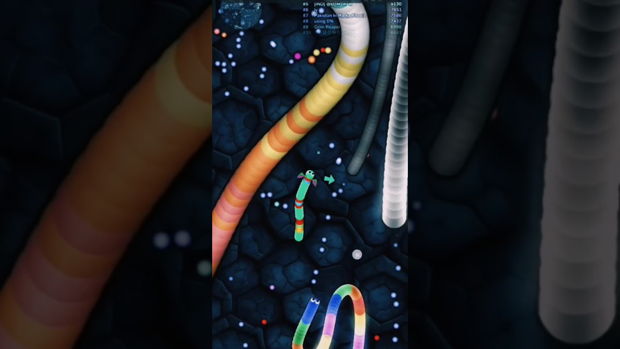 🐍 Small Snake Becomes the Biggest! 