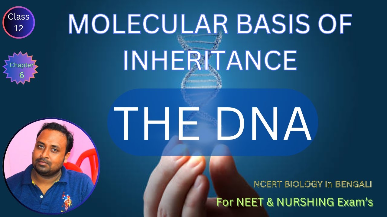The DNA | for NEET @Harun-biozone - YouTube