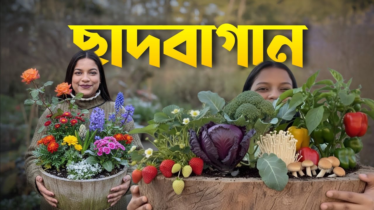 শীতের ছাদবাগানের সম্পূর্ণ ভ্লগ | Winter Gardening problems and Solutions | ছাদে ফল ও সবজির চাষ