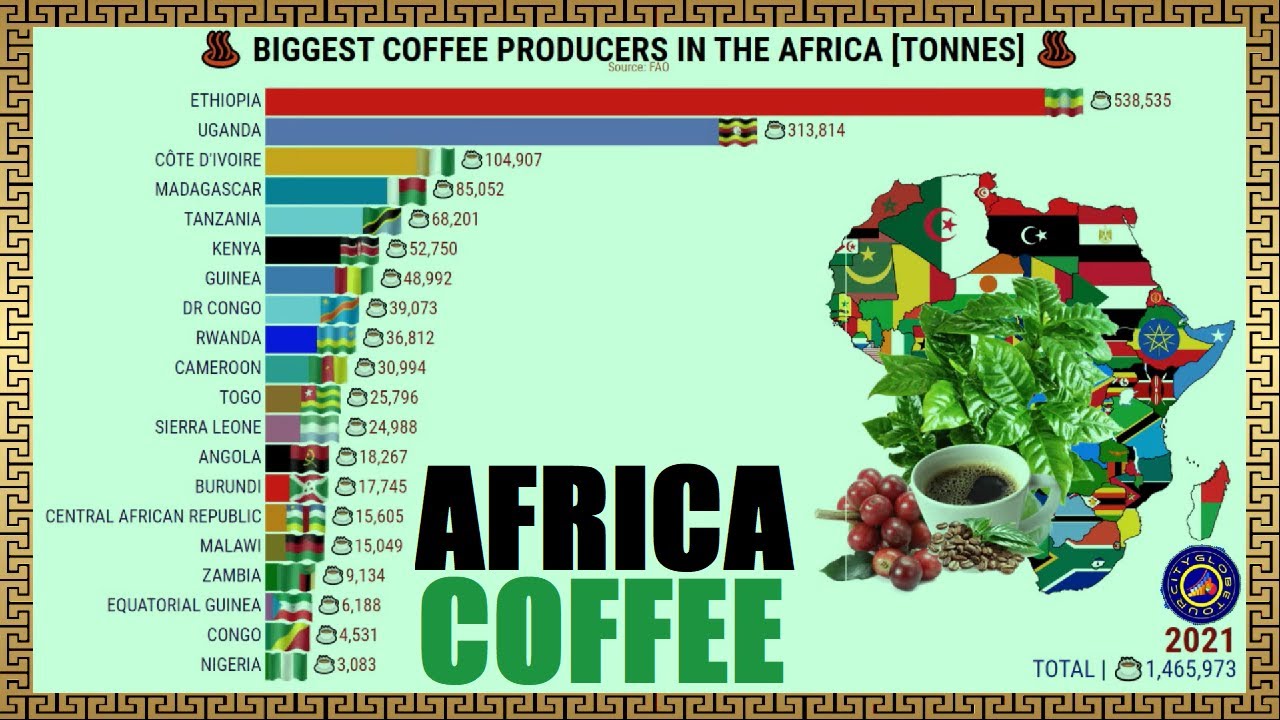 The Largest Coffee Producers in the Africa YouTube