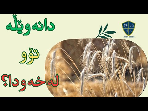 دیتنی دانەوێڵە و تۆو چ واتایەکی هەیە لەخەودا