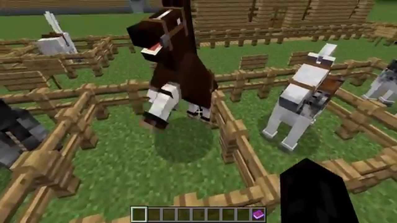 comment adopter des chevaux sur minecraft - YouTube
