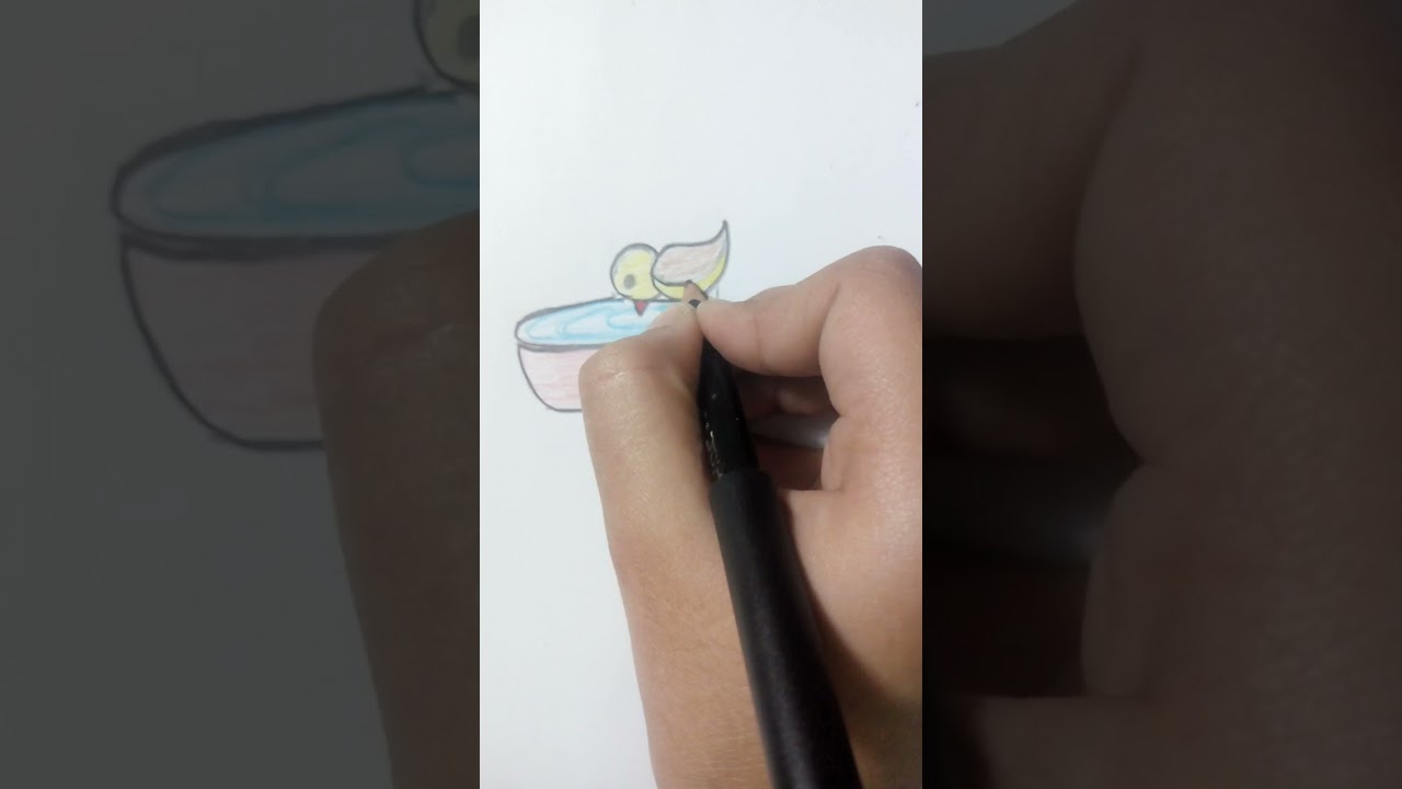 Save birds , keep water for them || Drawing