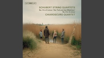 String Quartet No. 9 in G Minor, D. 173: III. Menuetto. Allegro vivace