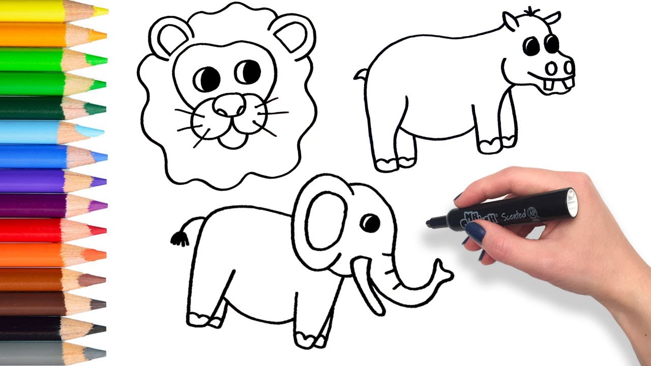 safari animals drawing easy