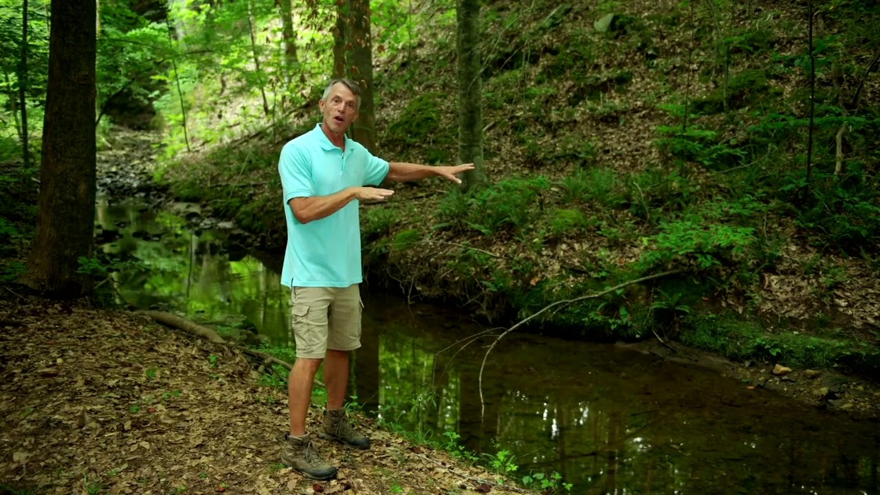 Rain It In: Creek-Friendly Landscaping