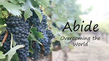 Abide ~ Overcoming the World (1 John 5:1-12)
