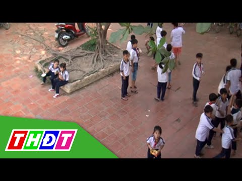 Video THDT - Thực trang bắt nạt ở trường học hiện nay - youtube