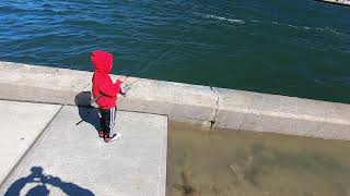 Fluke Fishing Manasquan Inlet