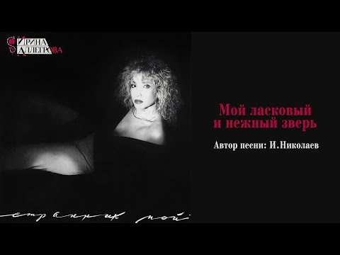 Video: Irina Allegrova'nın Kocası: Fotoğraf