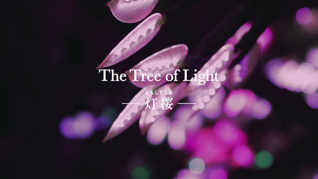 The Tree of Light ‒ 灯桜 ともしざくら ‒ - YouTube