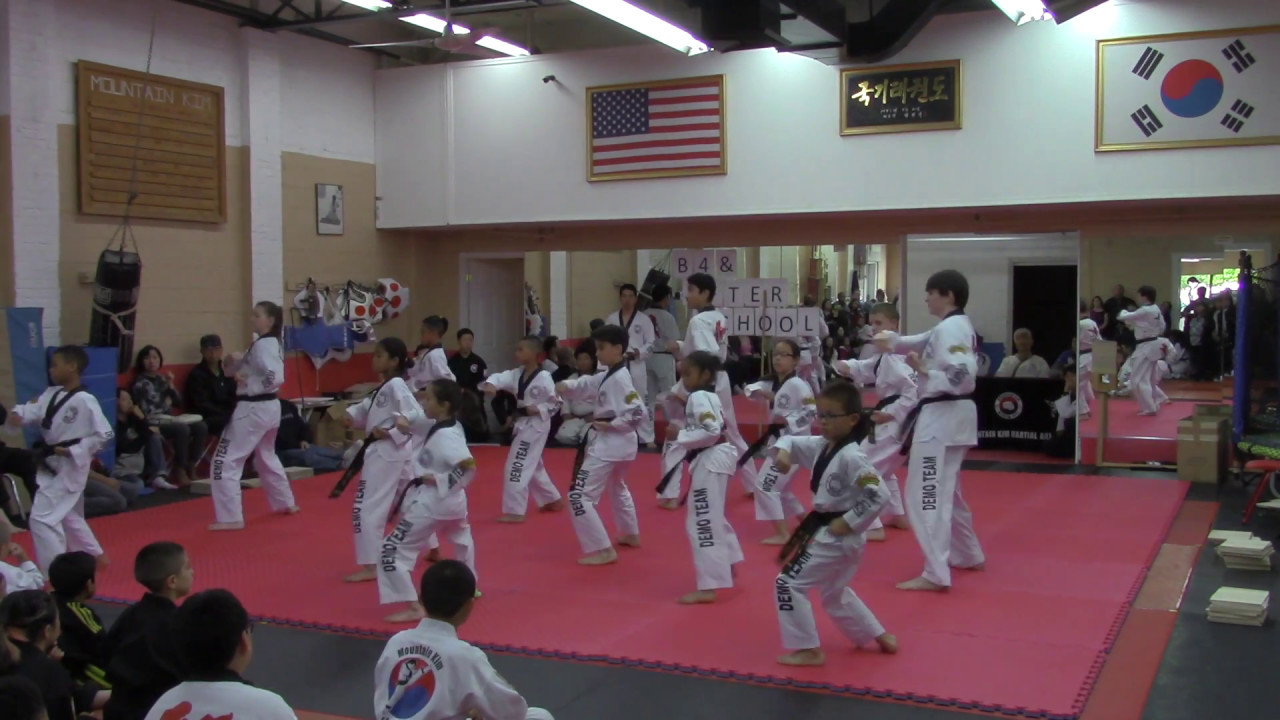 Manassas Mt Kim Martial Arts Demo Team on May 14 2017 Mt Kim Exhibition