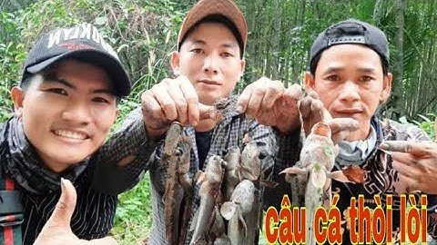 #19 | TCGV| câu cá thồi lồi mỹ bằng mồi tôm và giao lưu cùng anh hiếu lãng tử vlog )