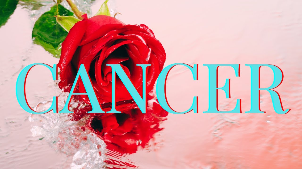 Cancer WoW! 😮🥰 someone who held onto the memories they made with you!