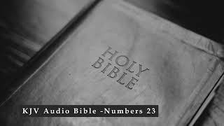 KJV Audio Bible  Numbers 23