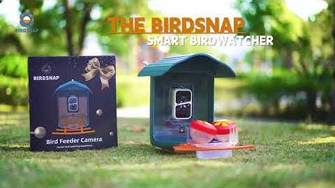 Birdsnap Smart Bird Feeder with Camera -PAV