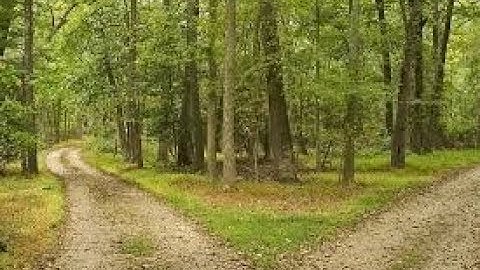 What is Change Request ?