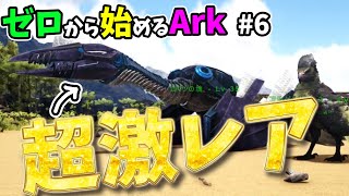 [ #6 ゼロから始めるArk ] 冒険に出る！！予定！ #ark #arksurvivalevolved #コラボ