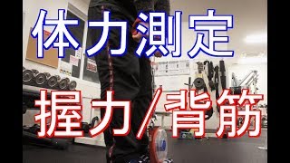 【体力測定】現在の背筋力・握力はどれくらい行くのか？