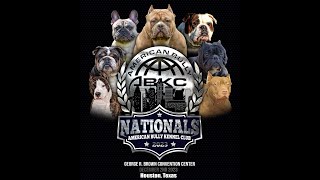 ABKC Nationals 2024 - Houston, Texas Update