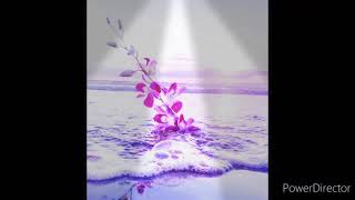 Malaye Malaye Whats App Video