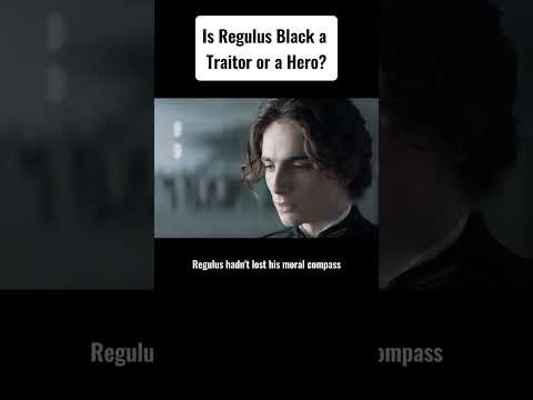 Is Regulus Black A Traitor Or A Hero Harrypotter Y 
