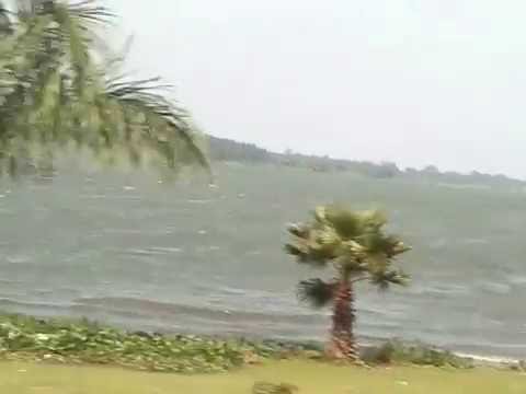 ب ح ي ر ة فيكتوريا من مدينة عنتيبي الأوغندية      