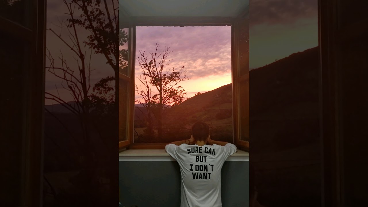 La expresión del sentido - Didac Flores