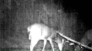 Ambush Video