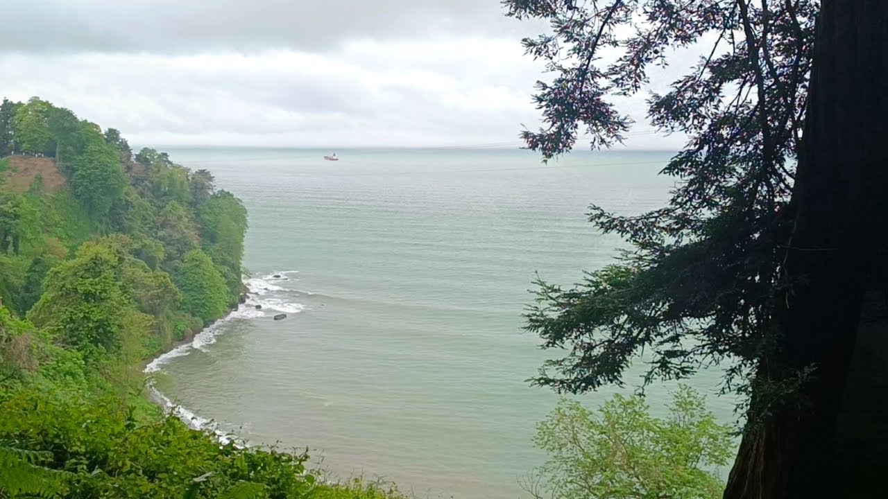 Прогулка по Батумскому ботаническому саду