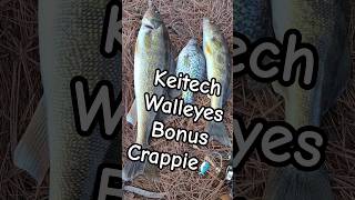 Morning Walleye Session Bonus Keitech Crappie