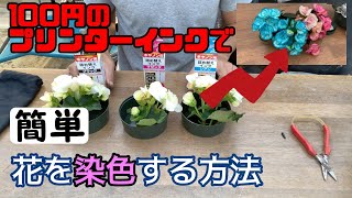 100円のプリンターインクで花を染色する方法 Youtube