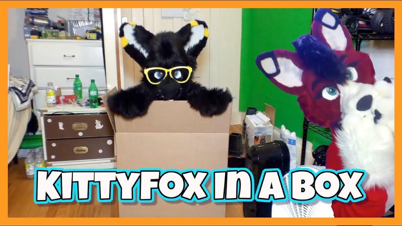 Furry Skits KittyFox In a Box Darky And Samson The KittyFox