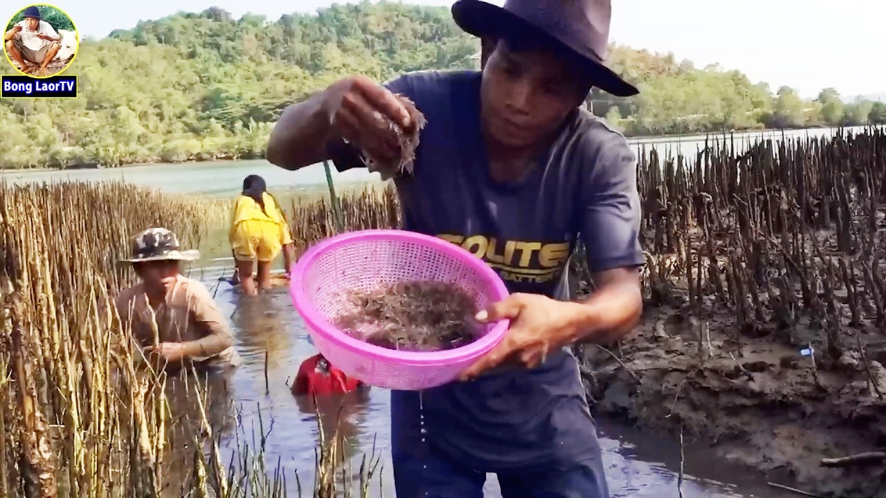 រាវចាប់កំពឹសសមុទ្រមកធ្វើកាពិធម្មជាតិ FIND  SMALL SHRIMP TO make Shrimp Paste AT BEAUTIFUL ISLAND