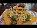 VLOG: Vegan Creole Food In Curacao & Batidos