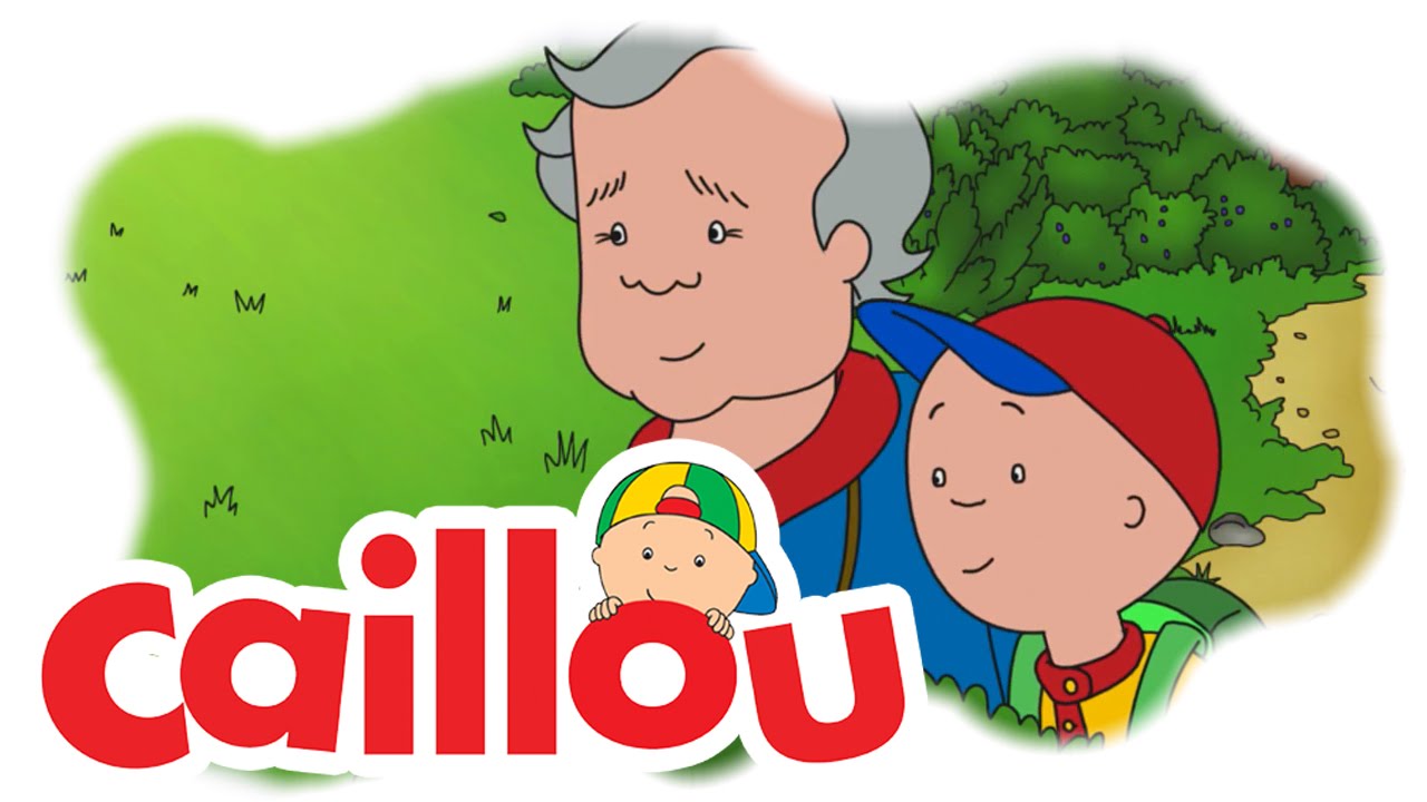 Caillou Blueberry Point (S05E21) Cartoon for Kids YouTube