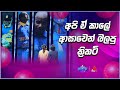 අපි ඒ කාලේ ආසාවෙන් බලපු ක්‍රිකට් 🏏| Sirasa Catchpoint S1 | Sirasa TV