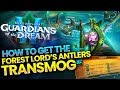 How to Obtain the Forest Lord&#39;s Antlers Transmog in Patch 10.2! │ Easy to Follow Guide