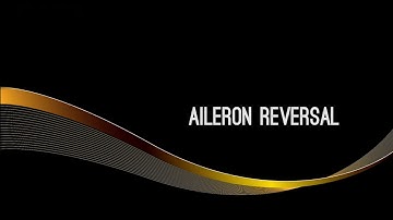 18 - Aileron Reversal
