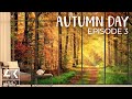 Cozy Autumn Day in a Forest - 4K TV Screensaver with Amazing Fall Foliage Colors - Episode 3