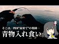 四国の最西端、『沖の島』のポテンシャルがエグい!!❤️🔥【前半戦】