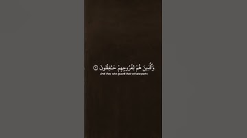 #قرآن قد أفلح المؤمنون #قرءان #تلاوات #المصحف #صباح_الخير #quran
