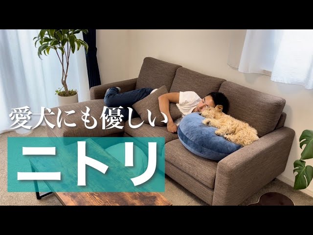 Nitori Sofa CA2 N-shield - YouTube