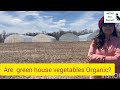 Qa are vegetables grown inside green housepolyhousenet house organic   in green house